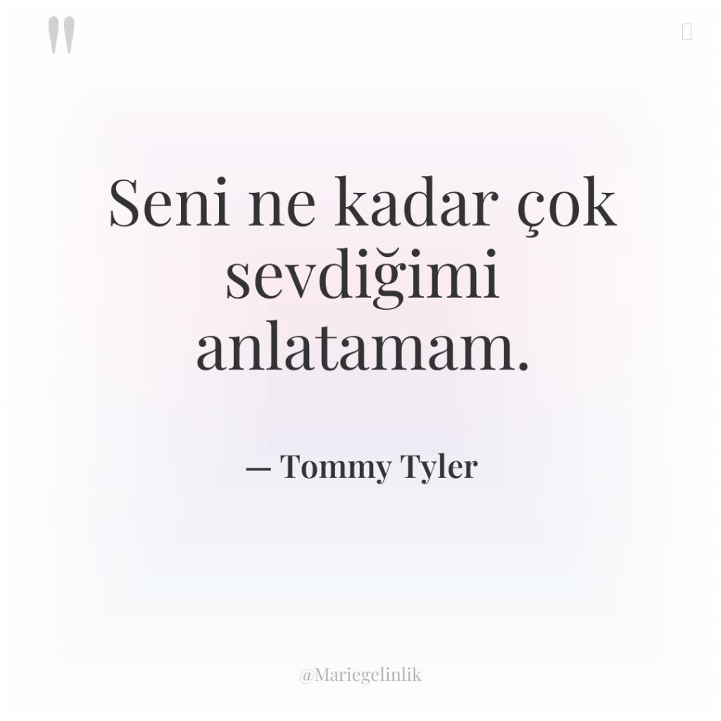 Seni ne kadar çok sevdiğimi anlatamam.