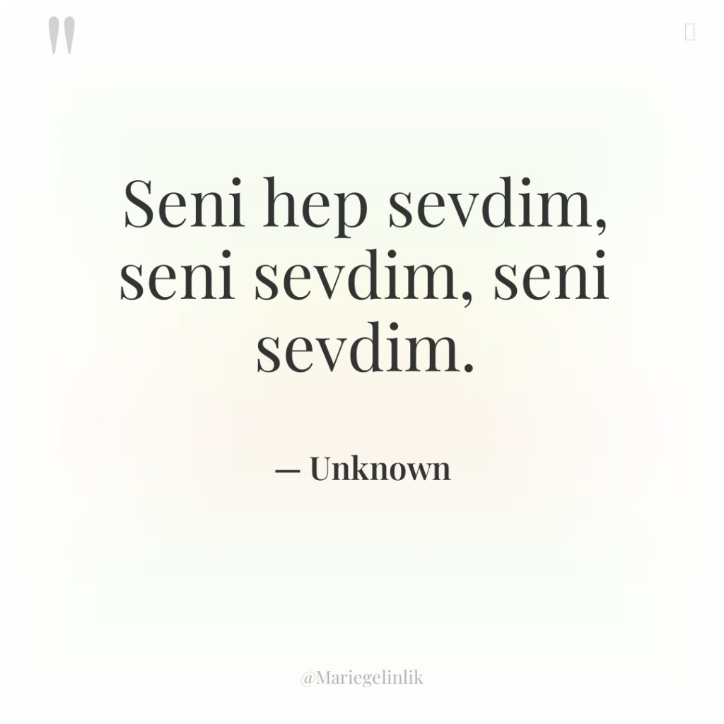 Seni hep sevdim, seni sevdim, seni sevdim.
