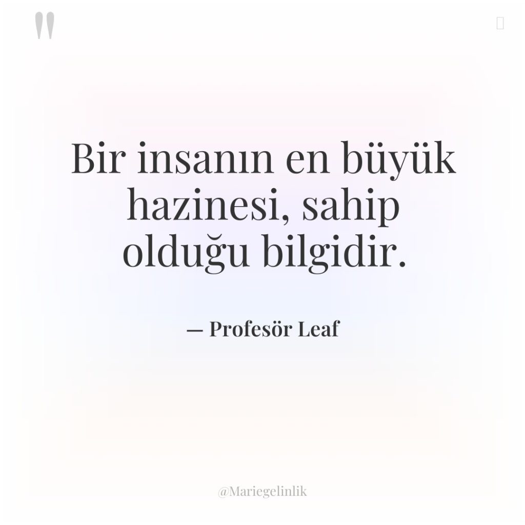 Bir insanın en büyük hazinesi, sahip olduğu bilgidir.