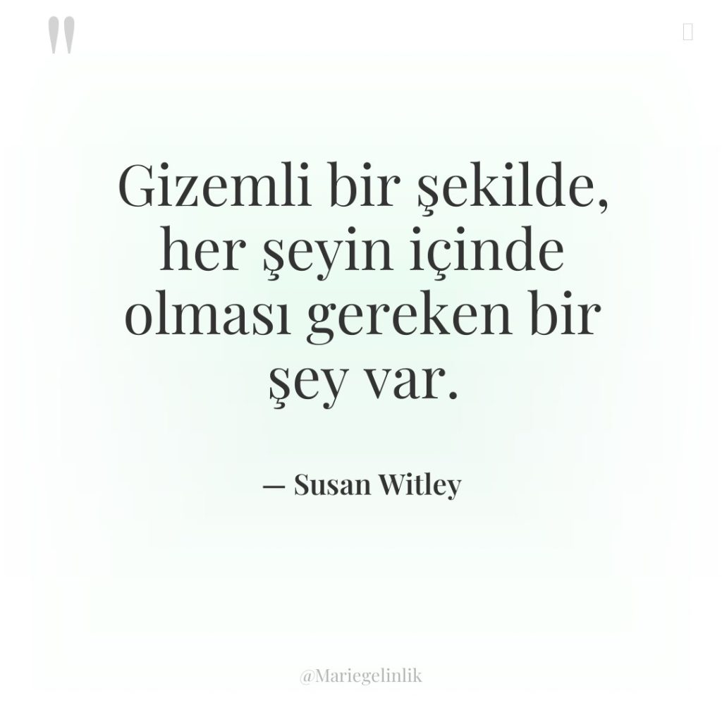 Gizemli bir şekilde, her şeyin içinde olması gereken bir şey…