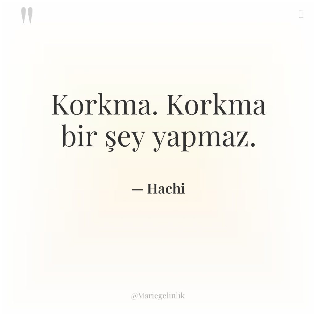 Korkma. Korkma bir şey yapmaz.