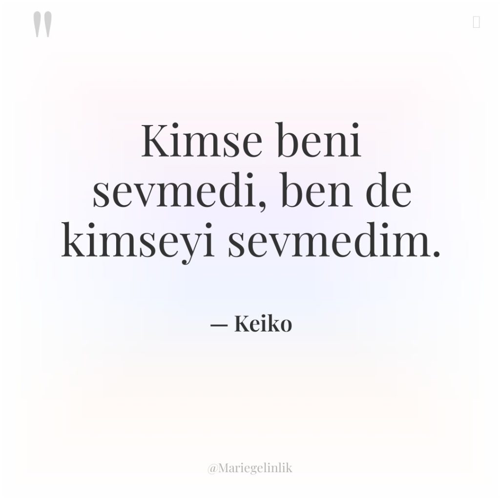 Kimse beni sevmedi, ben de kimseyi sevmedim.