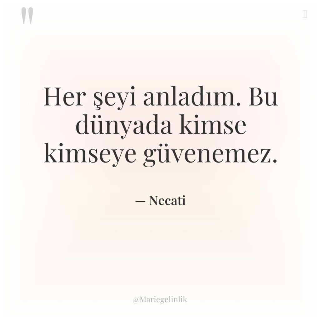 Her şeyi anladım. Bu dünyada kimse kimseye güvenemez.