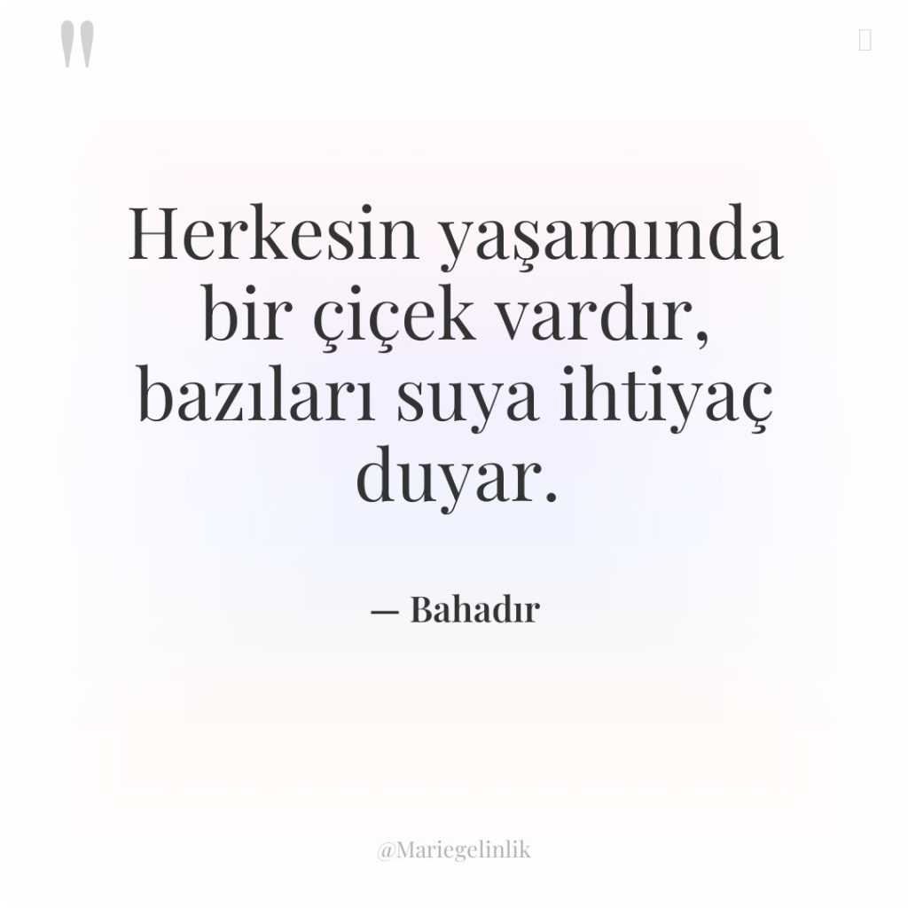 Herkesin yaşamında bir çiçek vardır, bazıları suya ihtiyaç duyar.