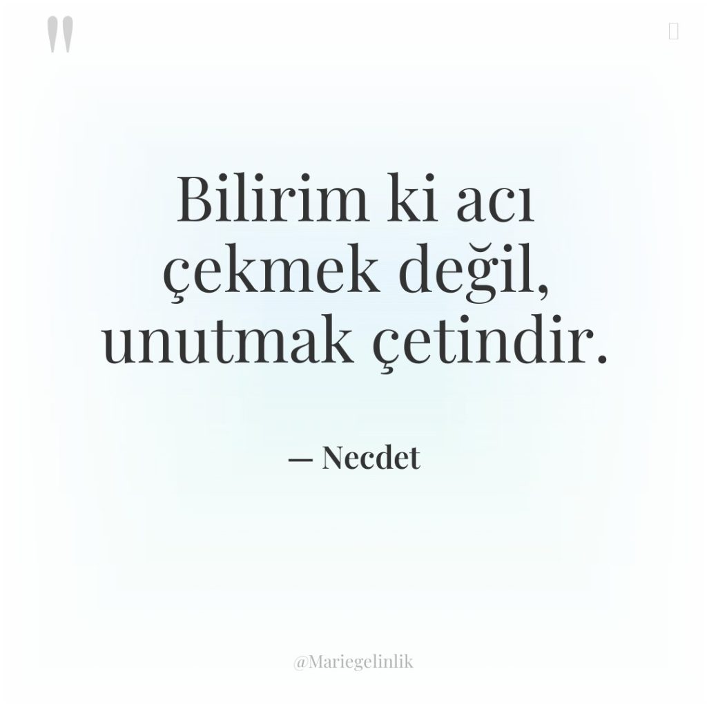 Bilirim ki acı çekmek değil, unutmak çetindir.