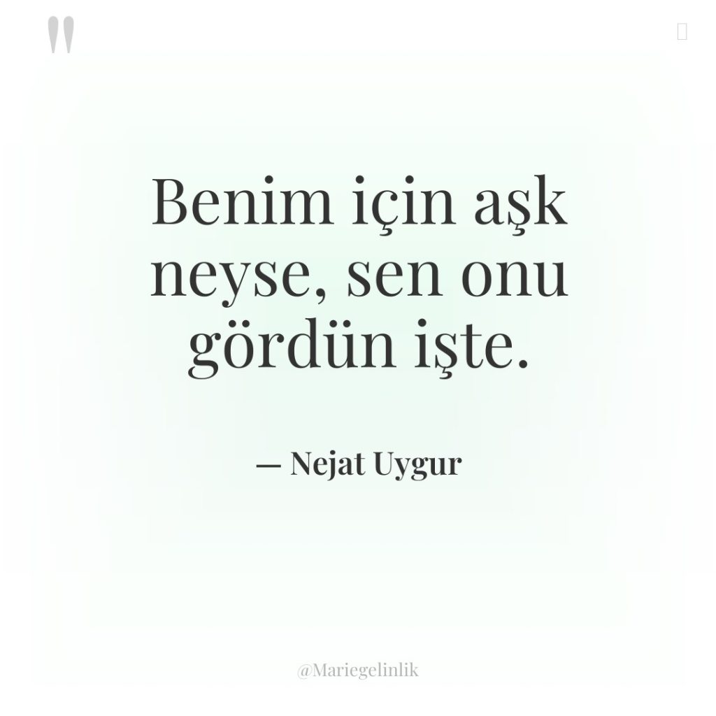 Benim için aşk neyse, sen onu gördün işte.