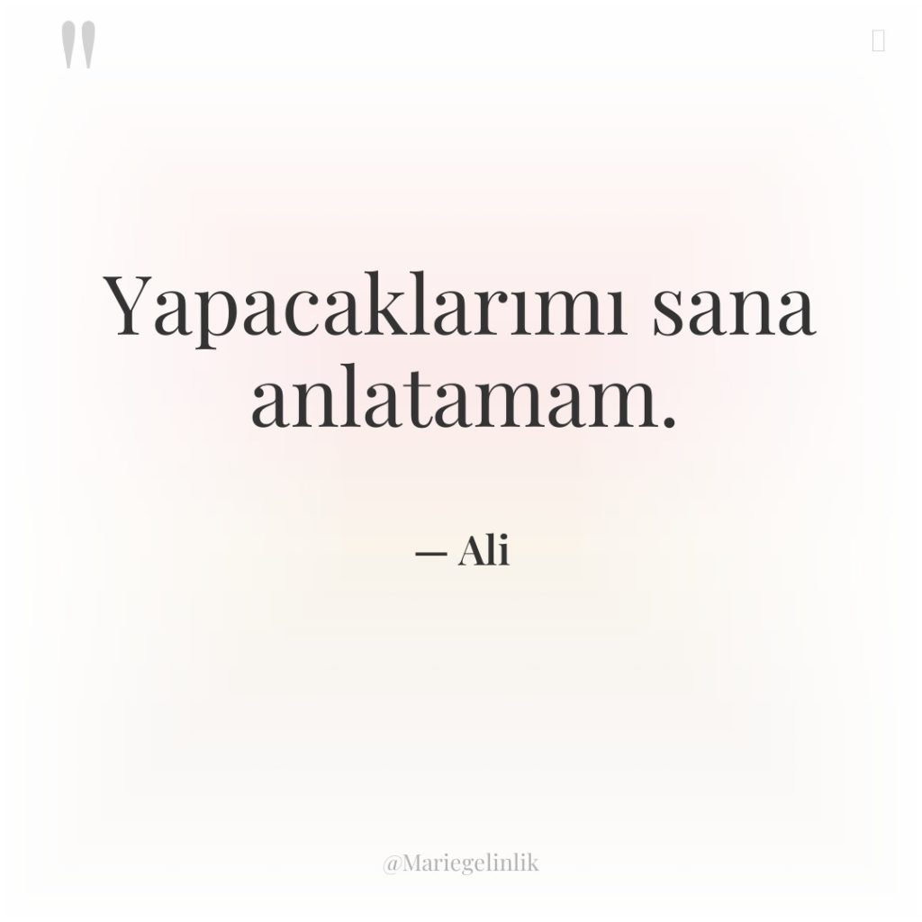 Yapacaklarımı sana anlatamam.