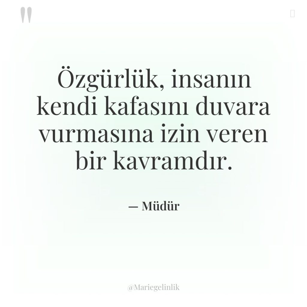 Özgürlük, insanın kendi kafasını duvara vurmasına izin veren bir kavramdır.