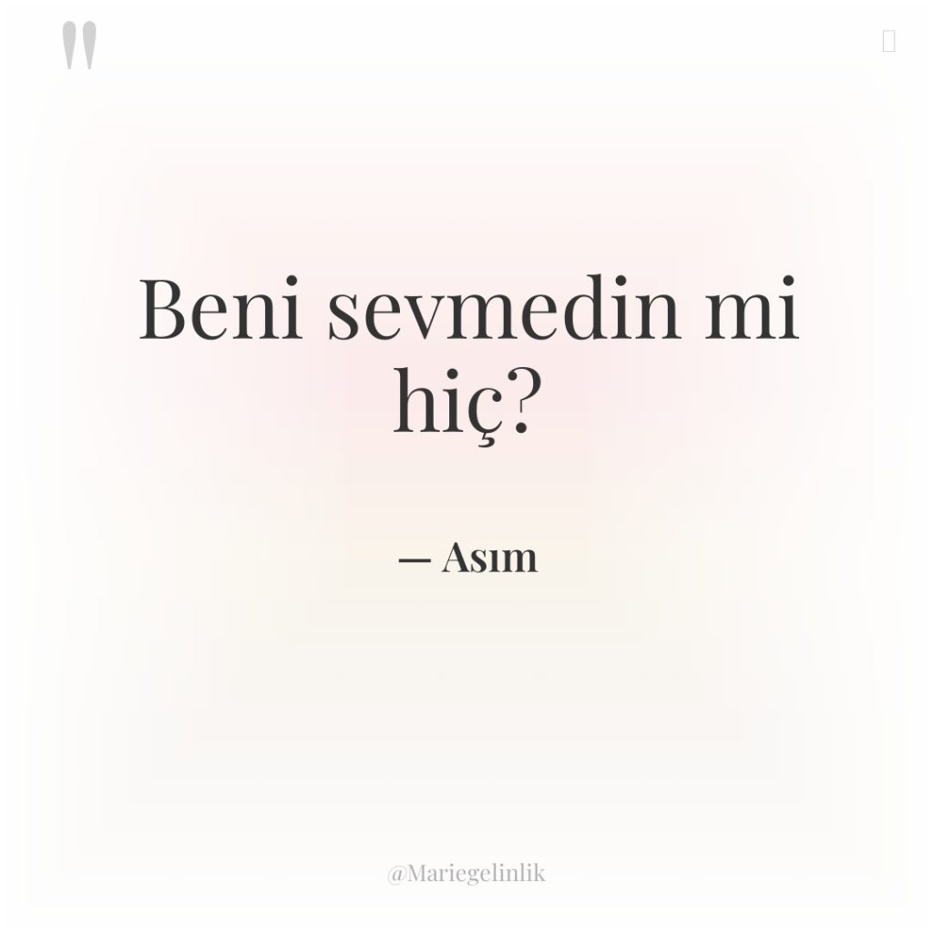 Beni sevmedin mi hiç?