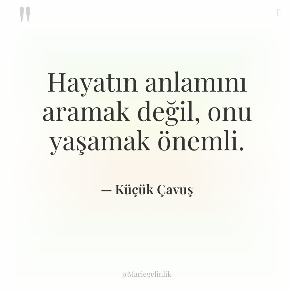 Hayatın anlamını aramak değil, onu yaşamak önemli.