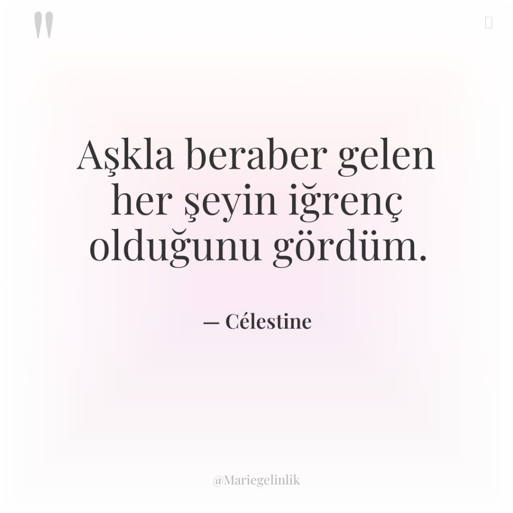 Aşkla beraber gelen her şeyin iğrenç olduğunu gördüm.