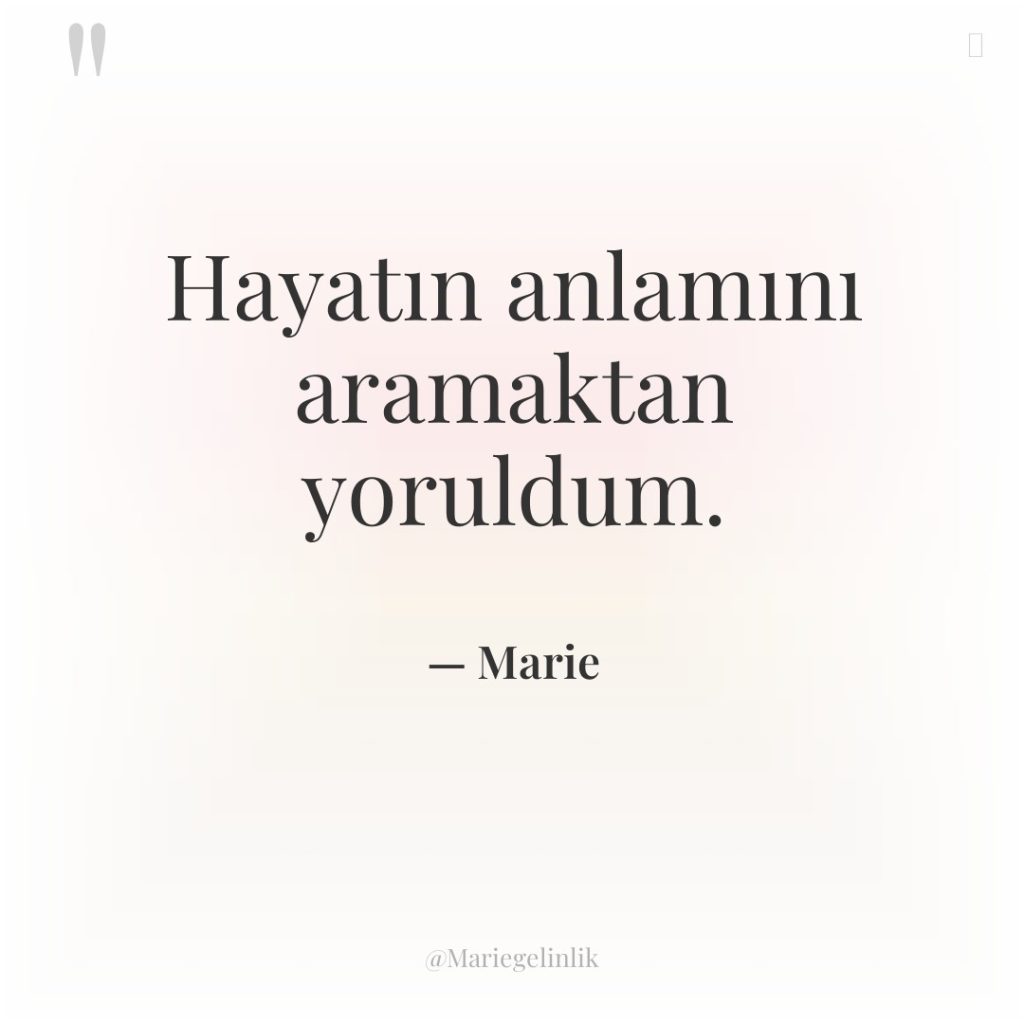 Hayatın anlamını aramaktan yoruldum.