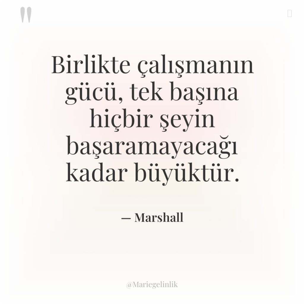 Birlikte çalışmanın gücü, tek başına hiçbir şeyin başaramayacağı kadar büyüktür.