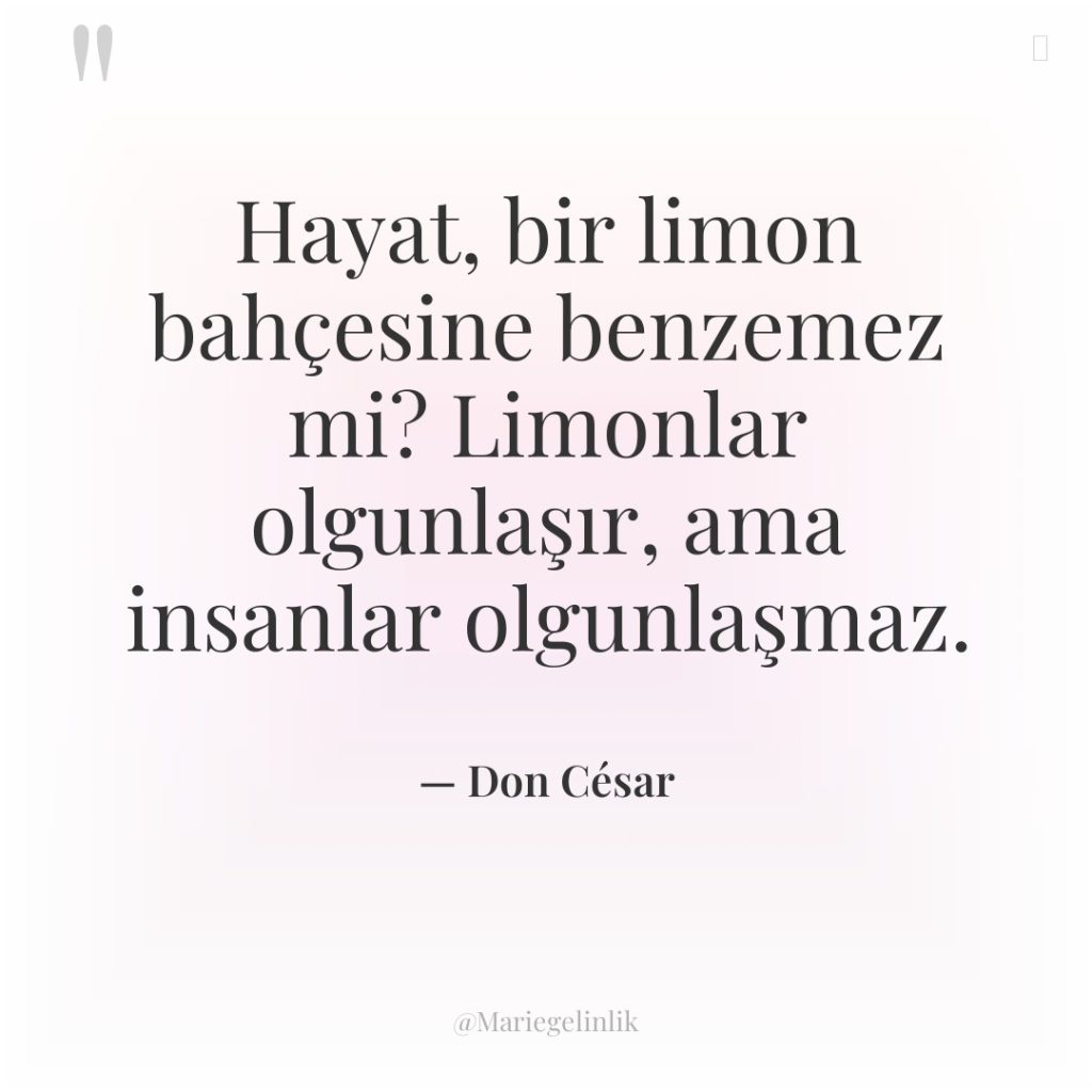 Hayat, bir limon bahçesine benzemez mi? Limonlar olgunlaşır, ama insanlar…