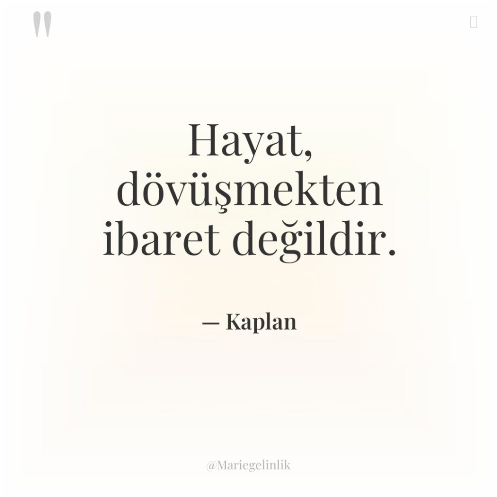 Hayat, dövüşmekten ibaret değildir.