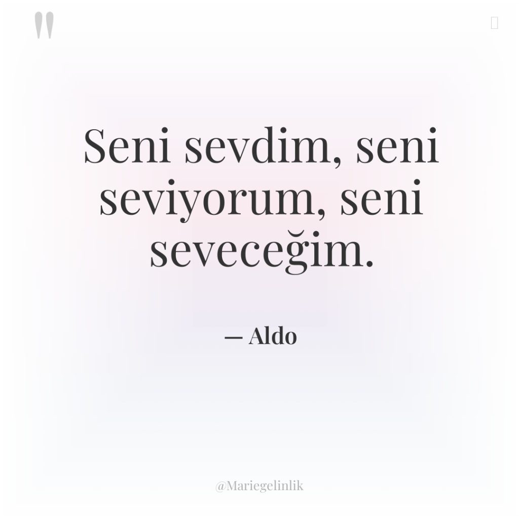 Seni sevdim, seni seviyorum, seni seveceğim.