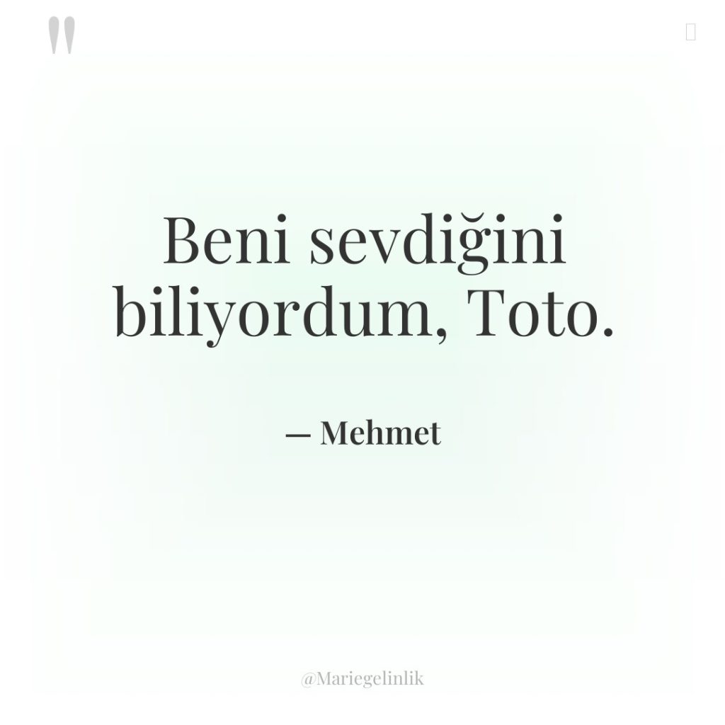 Beni sevdiğini biliyordum, Toto.