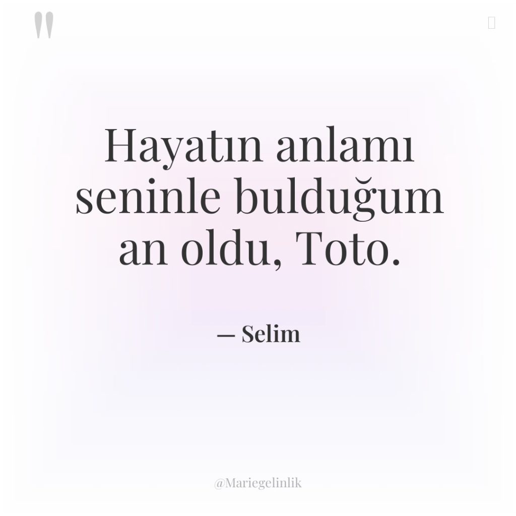 Hayatın anlamı seninle bulduğum an oldu, Toto.