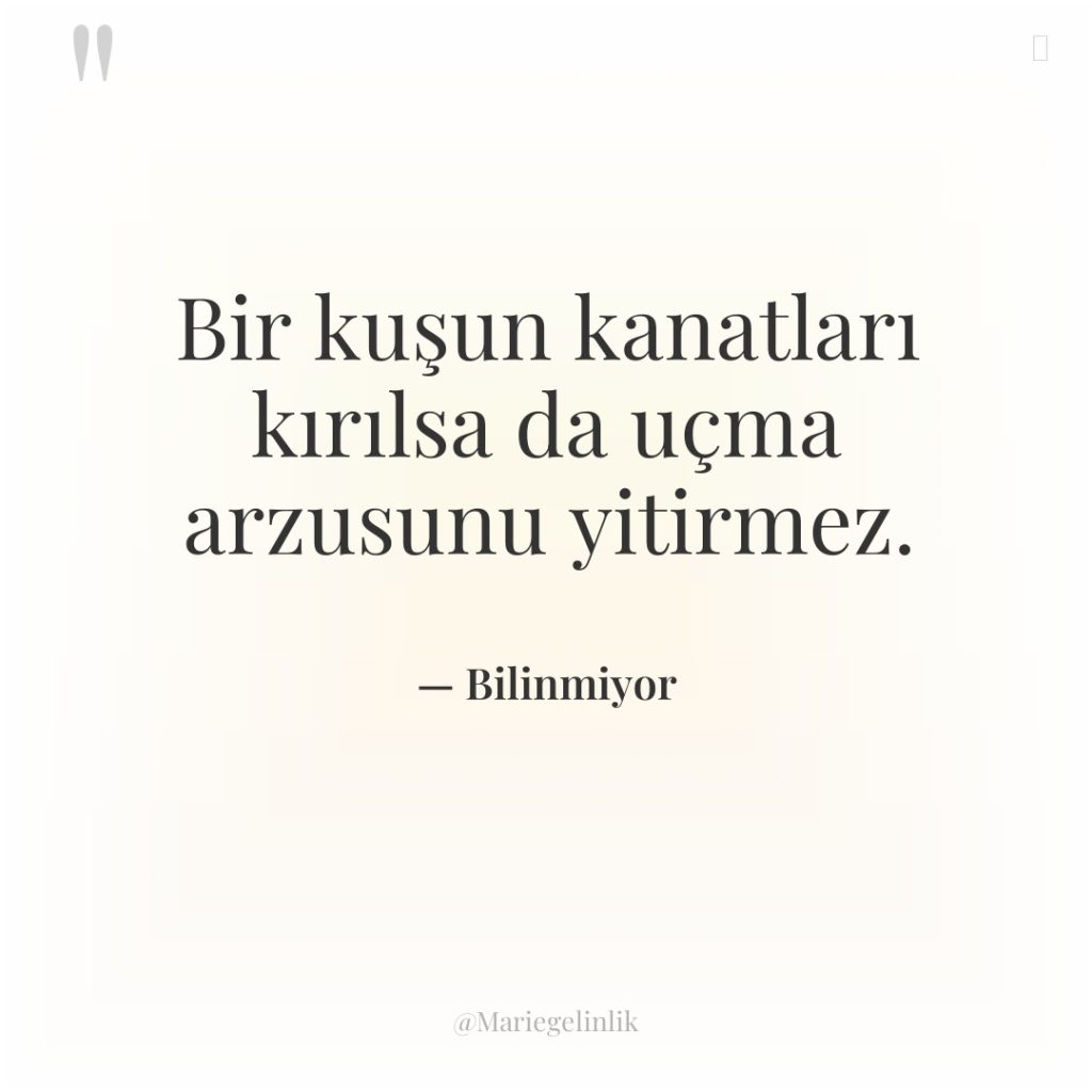 Bir kuşun kanatları kırılsa da uçma arzusunu yitirmez.