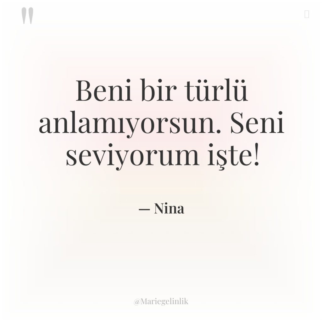 Beni bir türlü anlamıyorsun. Seni seviyorum işte!