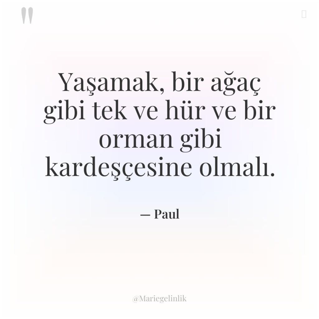 Yaşamak, bir ağaç gibi tek ve hür ve bir orman…