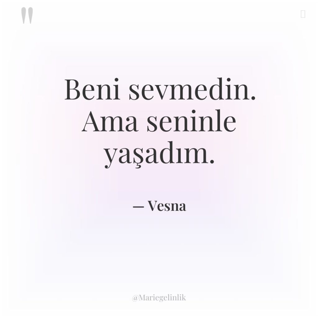 Beni sevmedin. Ama seninle yaşadım.