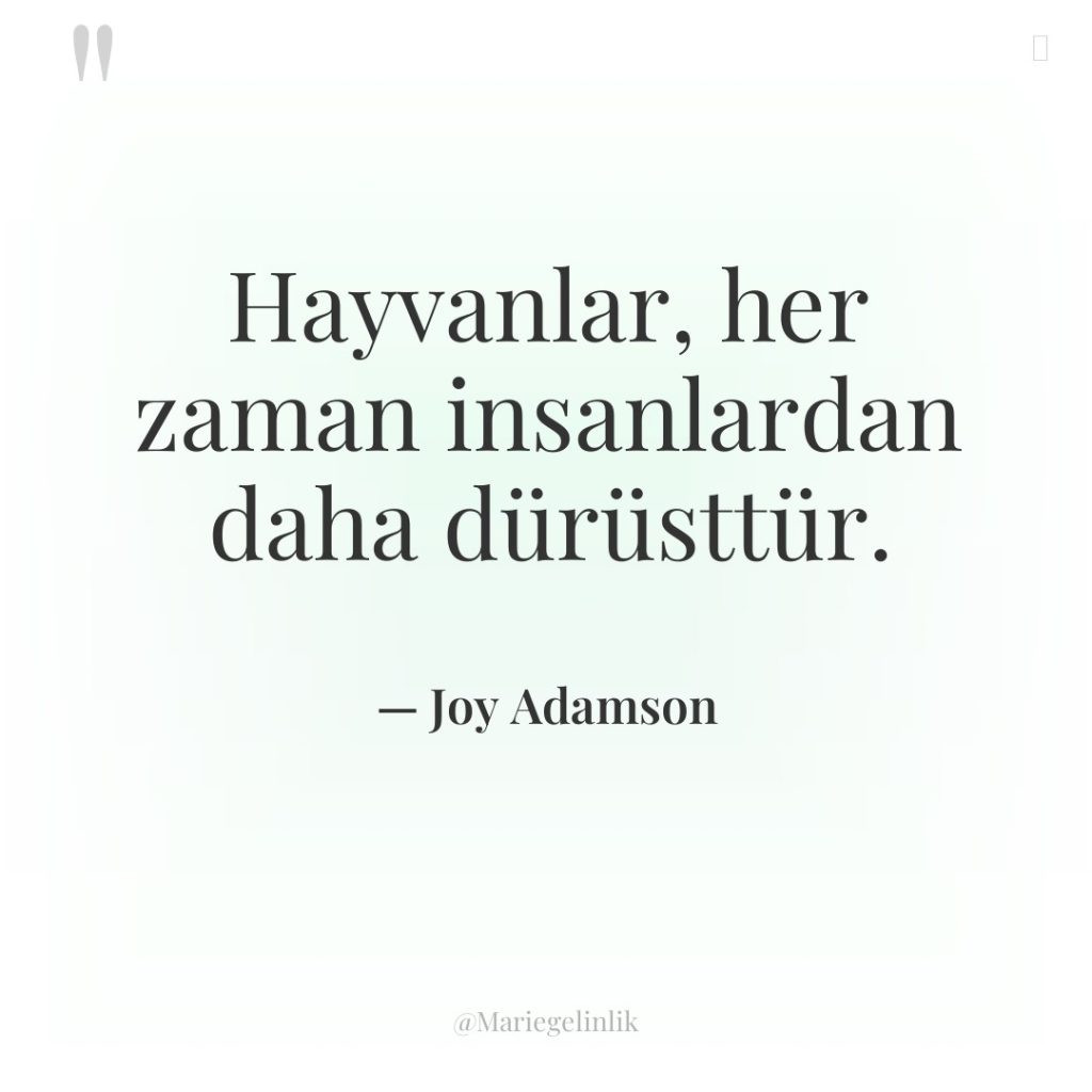 Hayvanlar, her zaman insanlardan daha dürüsttür.