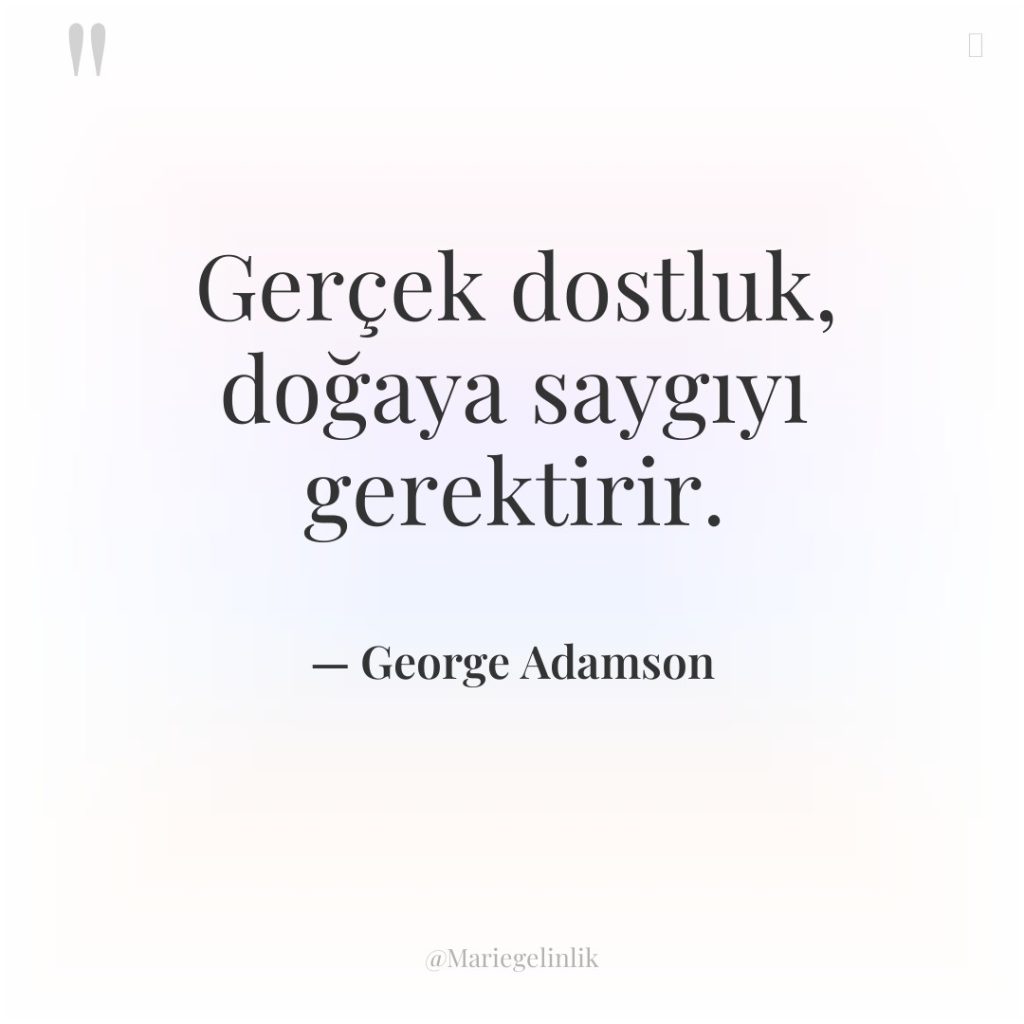 Gerçek dostluk, doğaya saygıyı gerektirir.