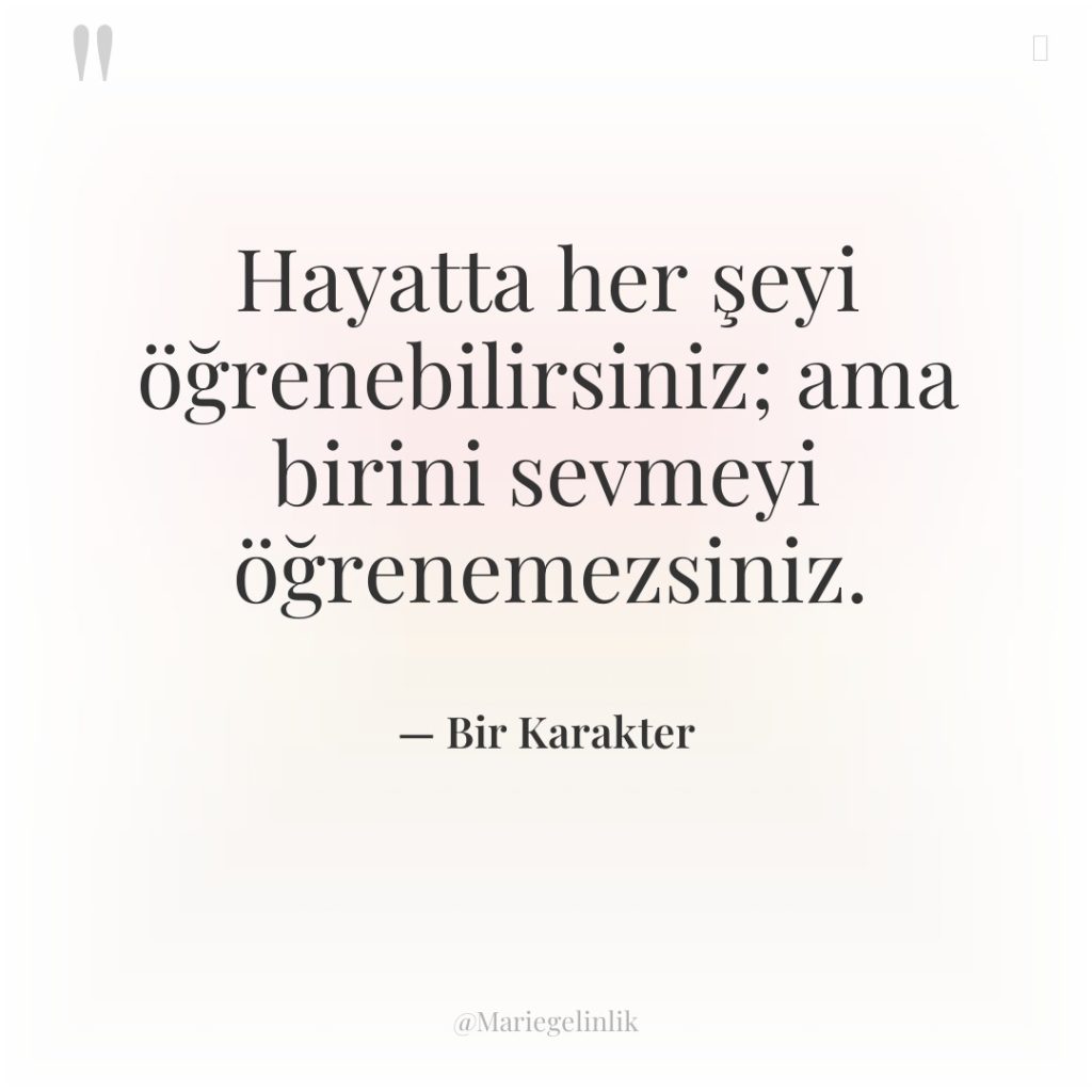 Hayatta her şeyi öğrenebilirsiniz; ama birini sevmeyi öğrenemezsiniz.