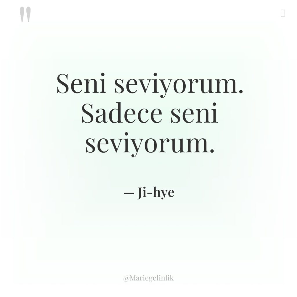 Seni seviyorum. Sadece seni seviyorum.