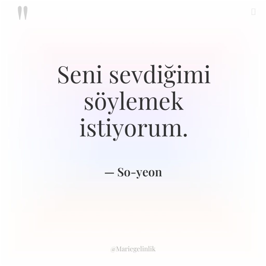 Seni sevdiğimi söylemek istiyorum.