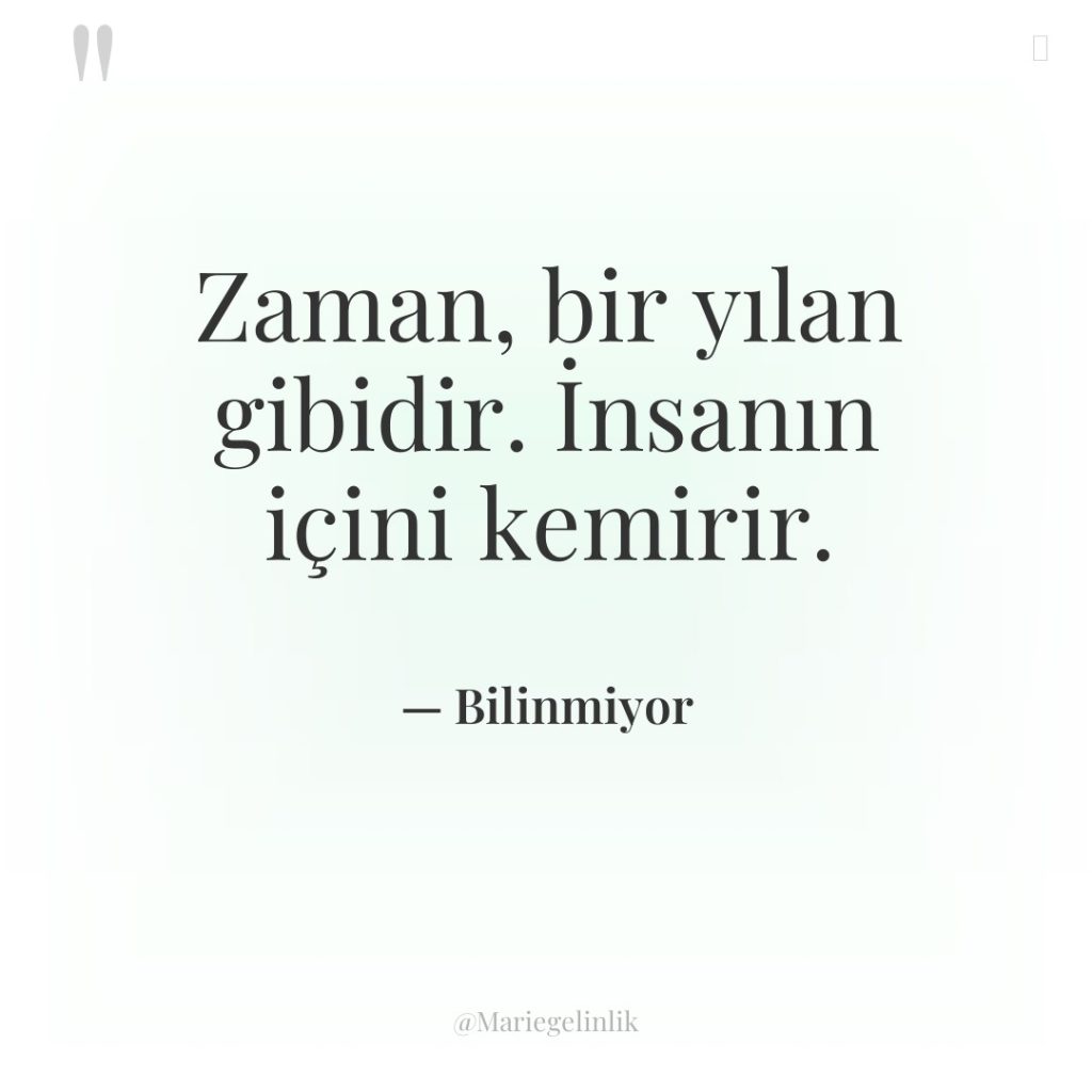 Zaman, bir yılan gibidir. İnsanın içini kemirir.