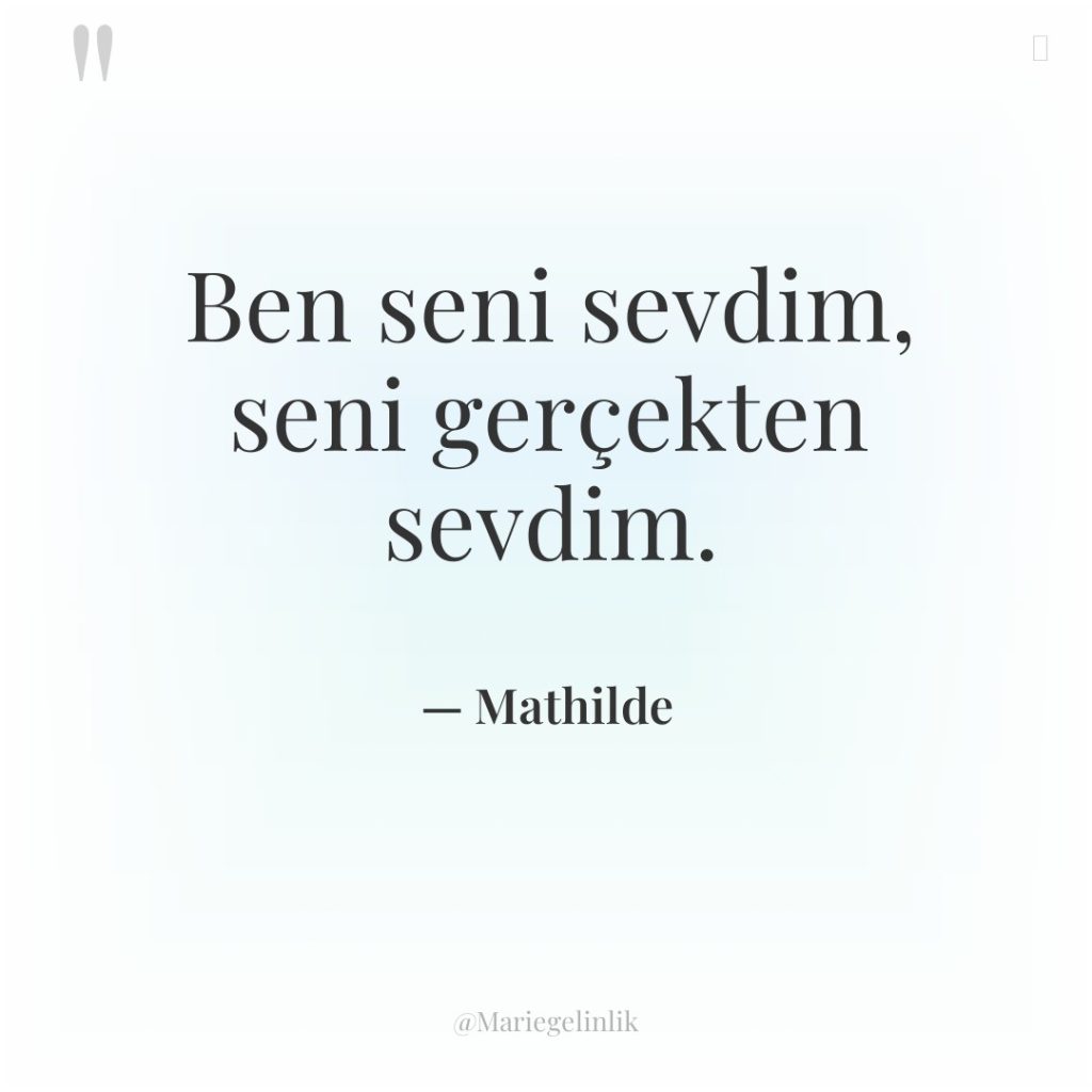 Ben seni sevdim, seni gerçekten sevdim.