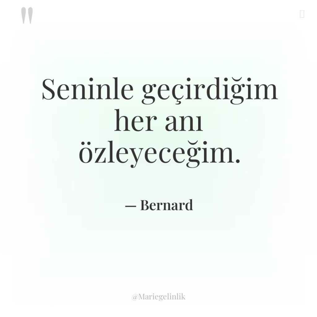 Seninle geçirdiğim her anı özleyeceğim.