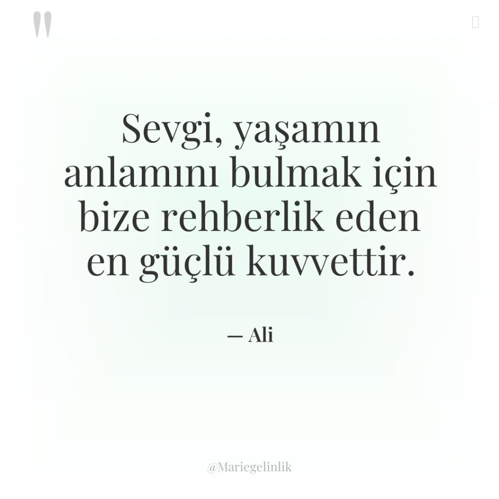 Sevgi, yaşamın anlamını bulmak için bize rehberlik eden en güçlü…