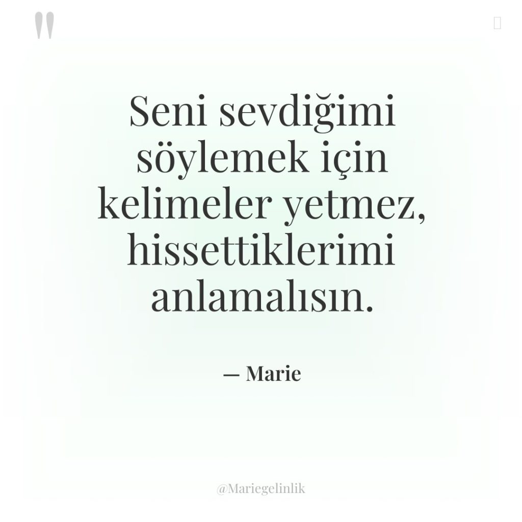 Seni sevdiğimi söylemek için kelimeler yetmez, hissettiklerimi anlamalısın.