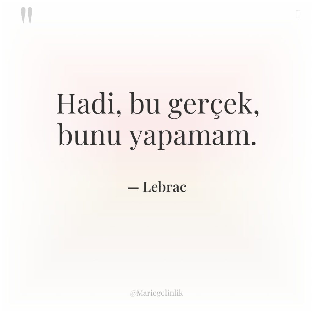 Hadi, bu gerçek, bunu yapamam.