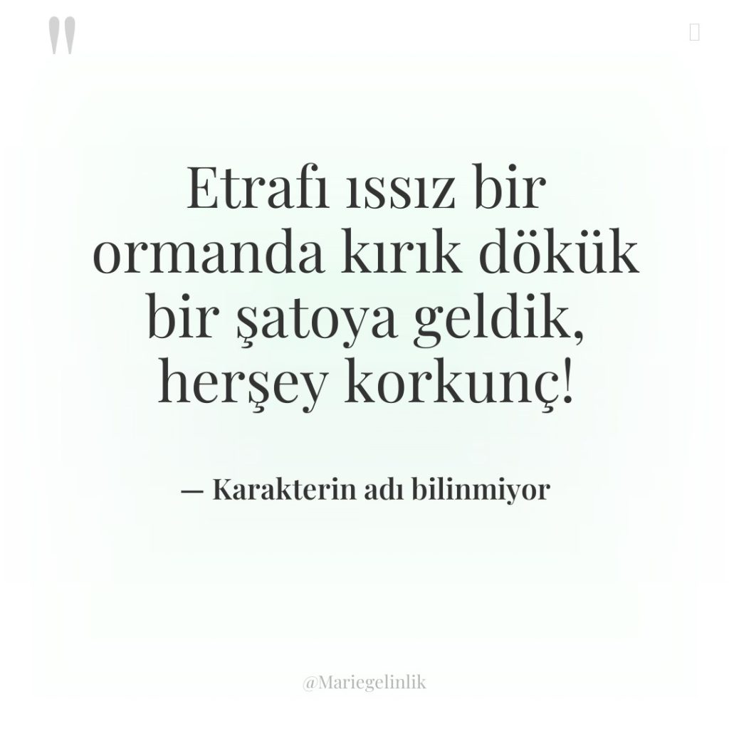 Etrafı ıssız bir ormanda kırık dökük bir şatoya geldik, herşey…