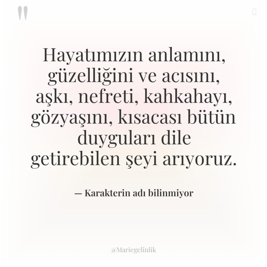 Hayatımızın anlamını, güzelliğini ve acısını, aşkı, nefreti, kahkahayı, gözyaşını, kısacası…