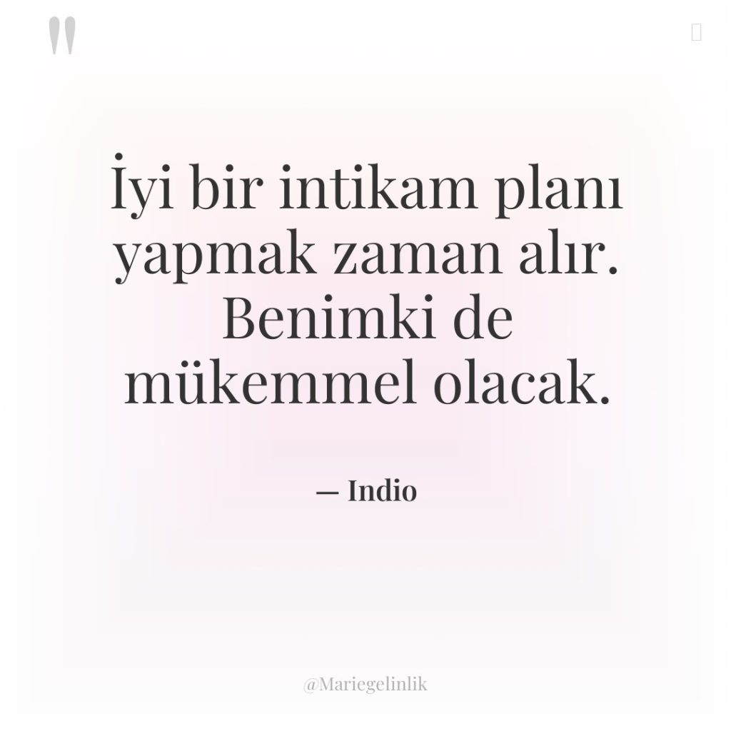 İyi bir intikam planı yapmak zaman alır. Benimki de mükemmel…