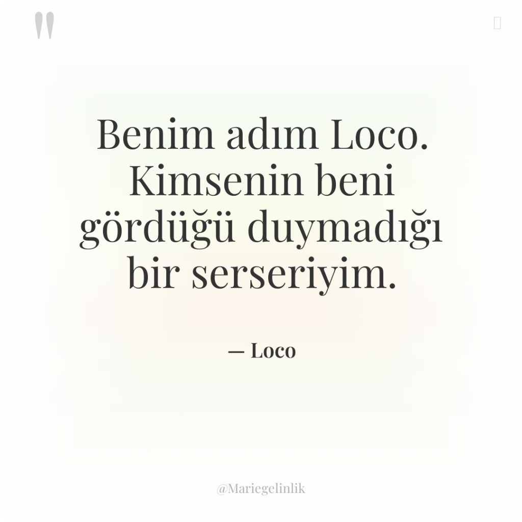 Benim adım Loco. Kimsenin beni gördüğü duymadığı bir serseriyim.