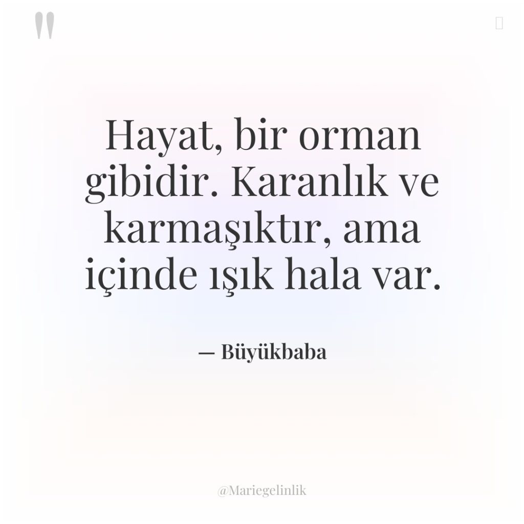 Hayat, bir orman gibidir. Karanlık ve karmaşıktır, ama içinde ışık…