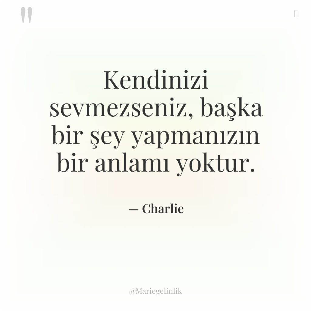 Kendinizi sevmezseniz, başka bir şey yapmanızın bir anlamı yoktur.
