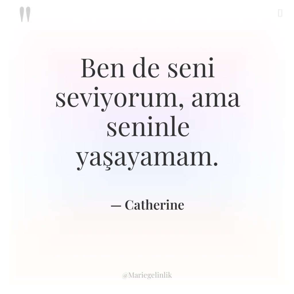 Ben de seni seviyorum, ama seninle yaşayamam.