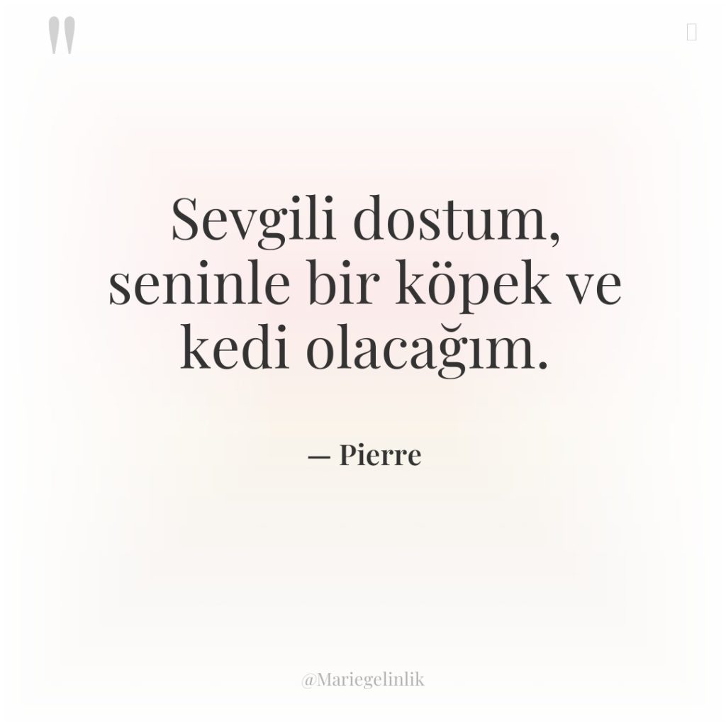 Sevgili dostum, seninle bir köpek ve kedi olacağım.