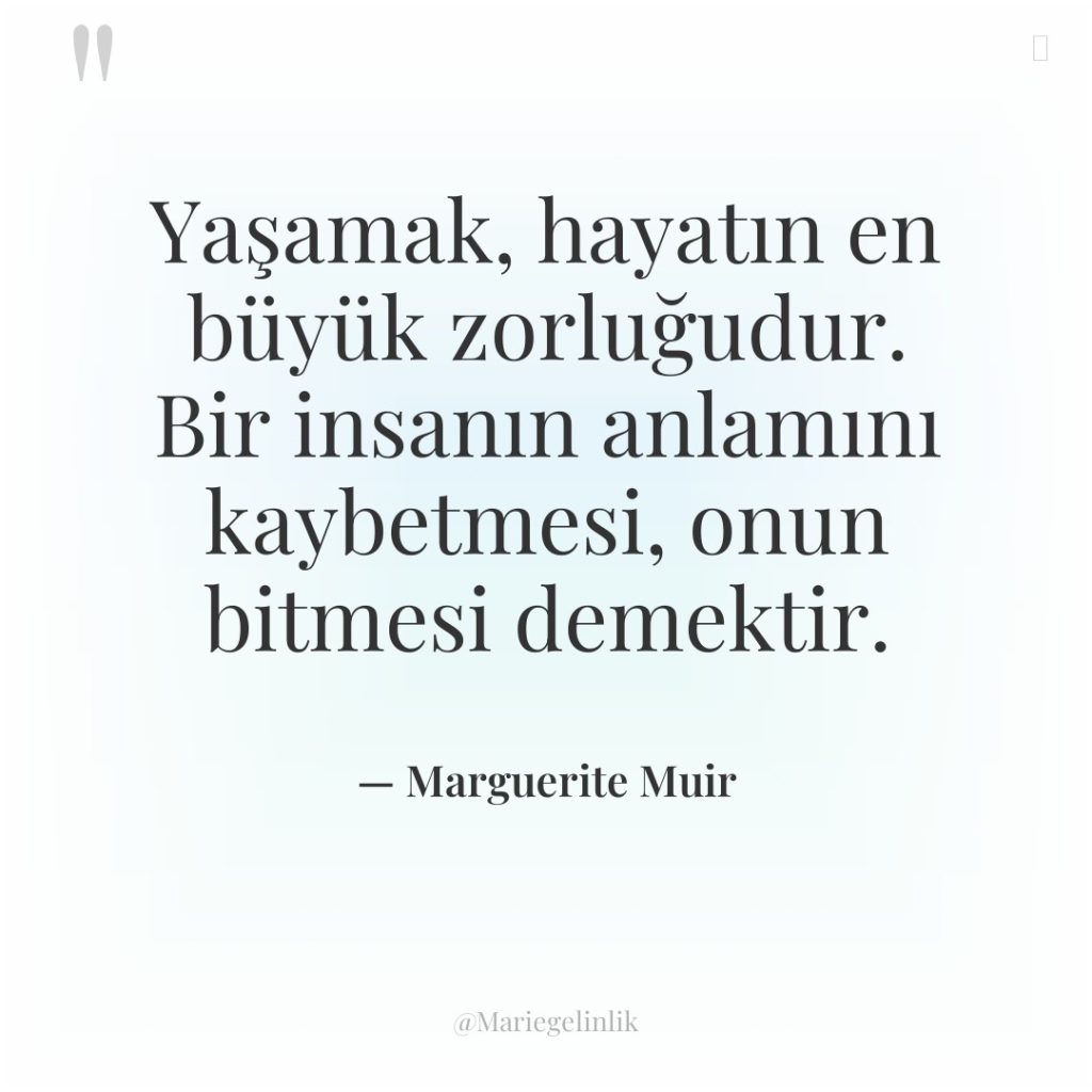 Yaşamak, hayatın en büyük zorluğudur. Bir insanın anlamını kaybetmesi, onun…