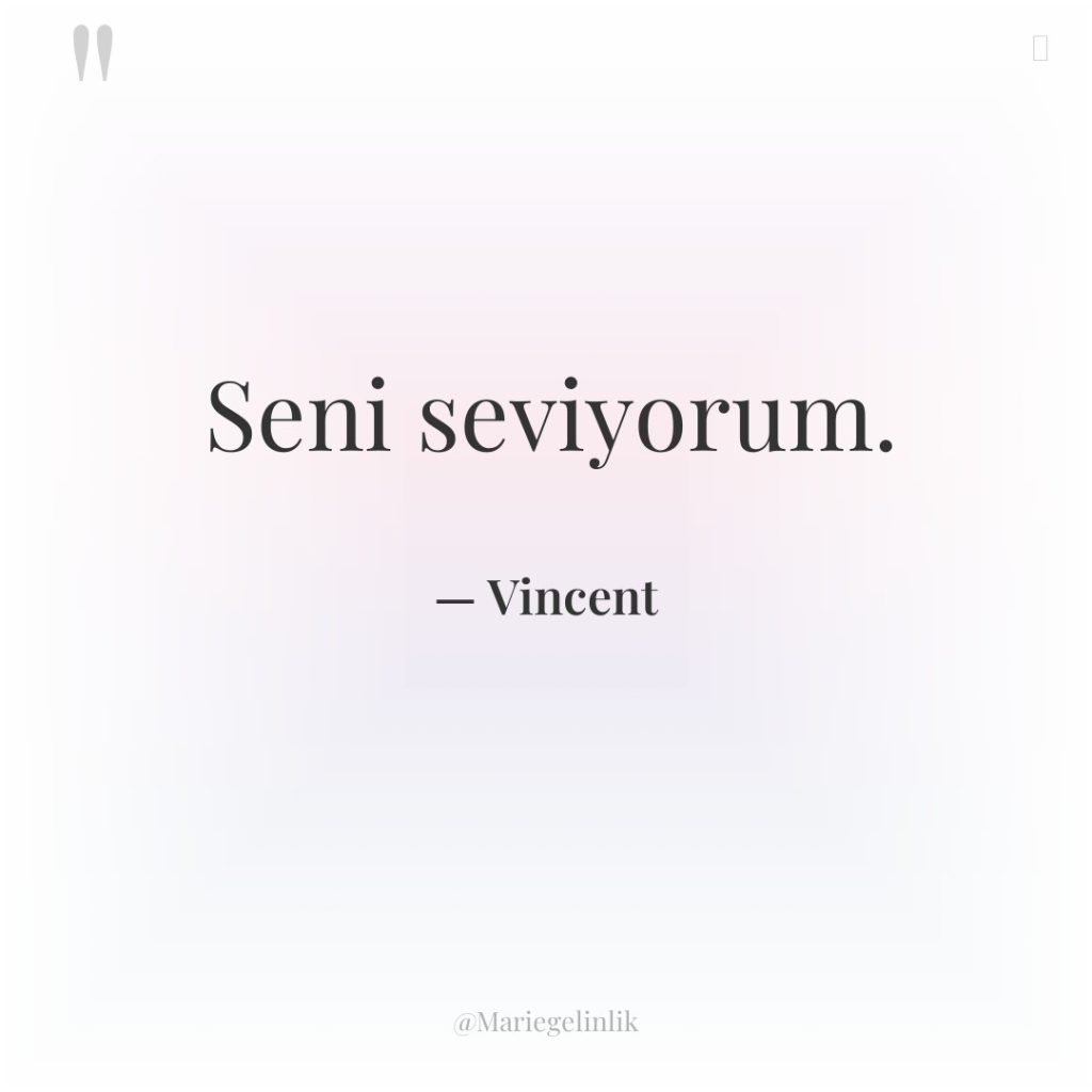 Seni seviyorum.
