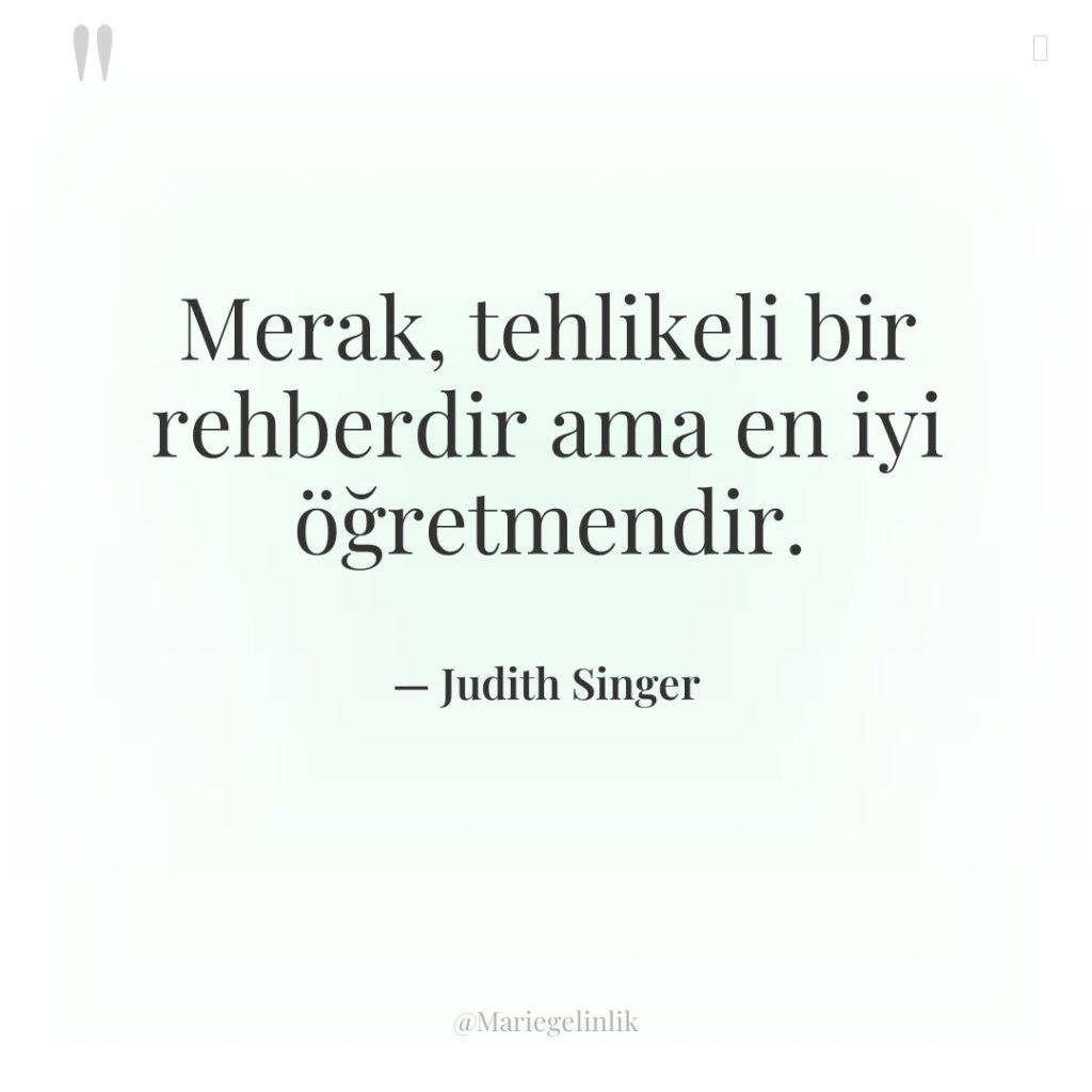 Merak, tehlikeli bir rehberdir ama en iyi öğretmendir.