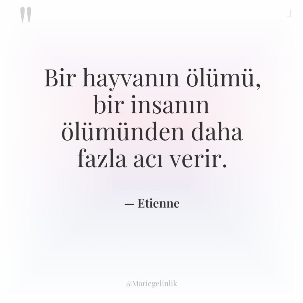 Bir hayvanın ölümü, bir insanın ölümünden daha fazla acı verir.