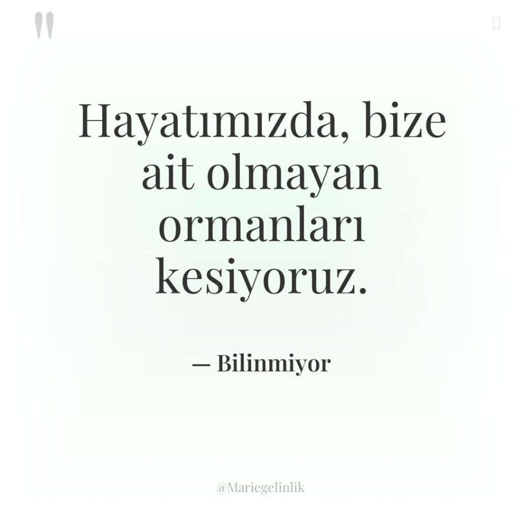 Hayatımızda, bize ait olmayan ormanları kesiyoruz.